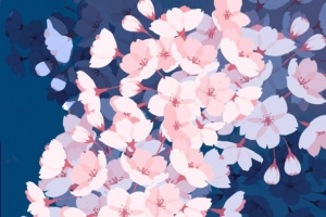 手绘白色樱花花朵海报背景