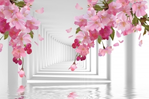 3D  樱花桃花走廊海报背景素材