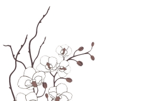 手绘白色梅花高清PNG透明免扣设计素材免费下载