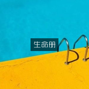 生命册，探索文学艺术之美的经典书籍