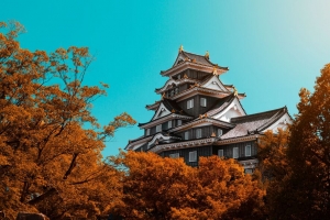 宝塔 建筑 建筑 树木 秋季 4k壁纸 3840x2160