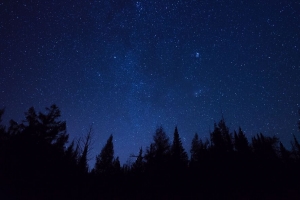 星空 树木 星星 夜晚 冷杉树 轮廓 4k壁纸 3840x2160