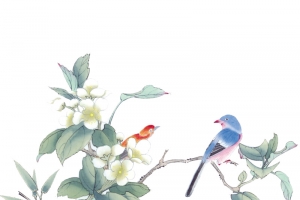花鸟图