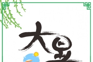 大暑夏天荷花柳条边框