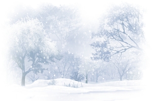 唯美雪景