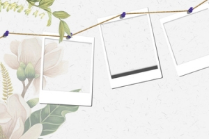 照片框清新文艺banner