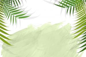 褶皱纸张绿色植物海报背景