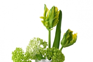 绿色插花小品高清PNG透明植物装饰元素设计素材免费下载