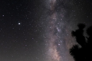 星空 树木 剪影 夜晚 星星 深色 4k壁纸 3840x2160