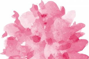 水彩唯美花朵高清PNG透明装饰元素与墨迹笔触设计素材免费下载