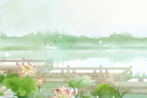 夏天文艺荷花荷叶小清新景色绿色背景