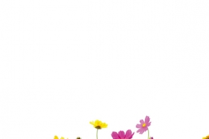 花草