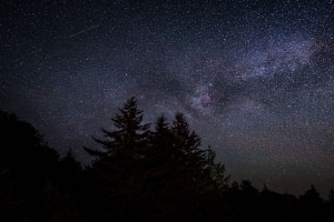 棵树 夜晚 星空 星星 深色 4k壁纸 3840x2160