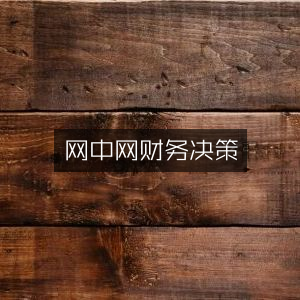 网中网财务决策平台