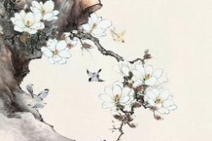 玉兰花鸟海报banner背景