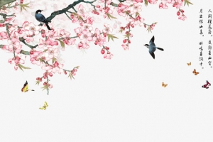 蝶恋花