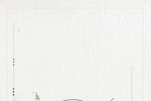 简约惊蛰二十四节气海报