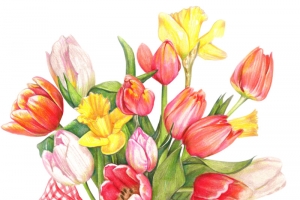 手绘郁金香高清PNG透明动植物植物设计素材免费下载