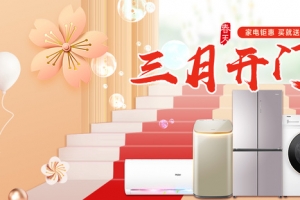 大家电开门红电商首页