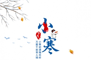 冬天小寒雪花树枝落叶雪地
