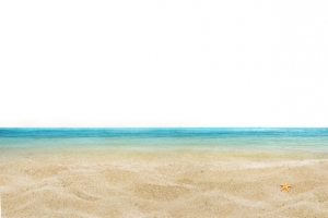 海沙滩