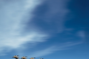 商务企业文化天空背景