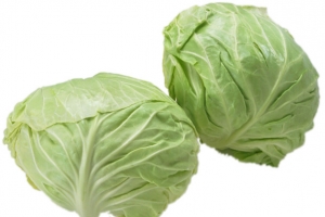 圆白菜