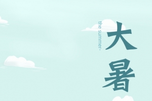 手绘荷叶荷花   夏天大暑