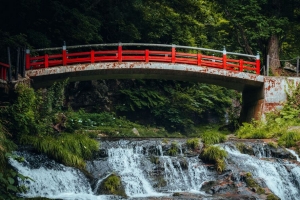桥梁 溪流 森林 草地 景观 铁锈 4k壁纸 3840x2160