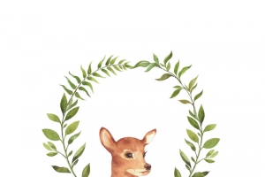 绿色圆形树叶中的小鹿