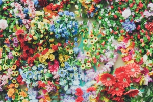 鲜花背景