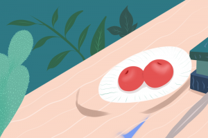 夏天立夏二十四节气西瓜仙人掌饮料