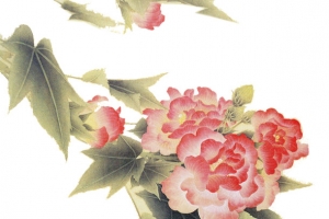 手绘中国画木芙蓉花