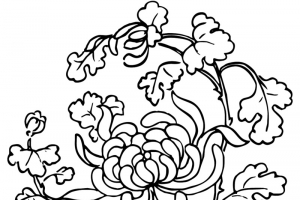 花纹 圆形 传统图案