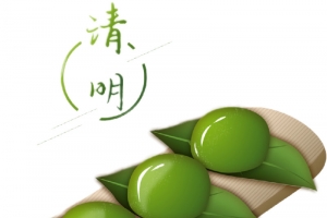 清明青团边框，