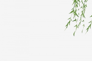 中国风荷花插画夏至背景
