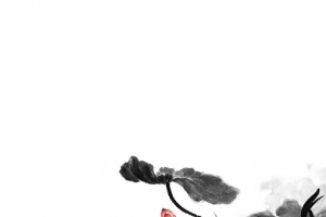 荷叶淡色中国风 古风