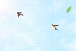 浅蓝色手绘唯美春季踏青油菜花背景