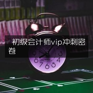 初级会计师VIP高效冲刺密卷