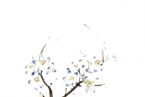 开花圣诞鹿图片素材