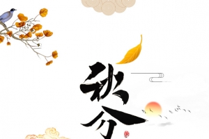 秋天秋分树枝扇子落叶祥云