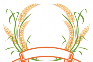 麦穗logo