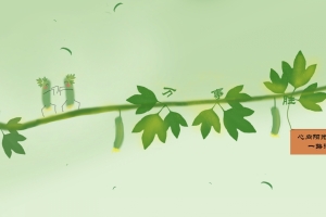 丝瓜 小清新 万事胜意 创意手绘 心向阳光一路徜徉 8k壁纸