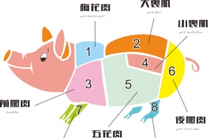 猪肉分割部位图