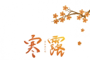 秋季寒露手绘人物树枝落叶饭桌