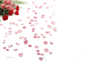 玫瑰花花瓣背景图