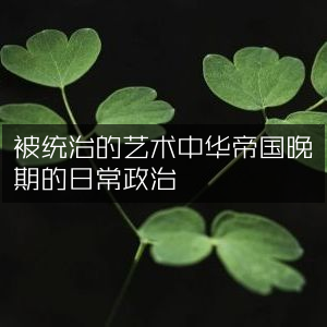 中华帝国晚期日常政治，被统治的艺术 | 历史文化书籍