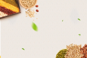 养生谷物简约绿叶棕色banner