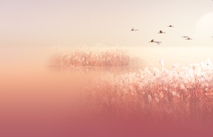 唯美台历设计banner背景