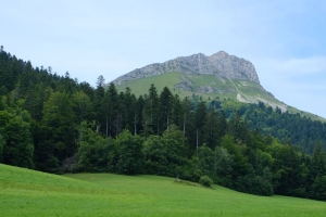 山 森林 田野 自然 风景 4k壁纸 3840x2160